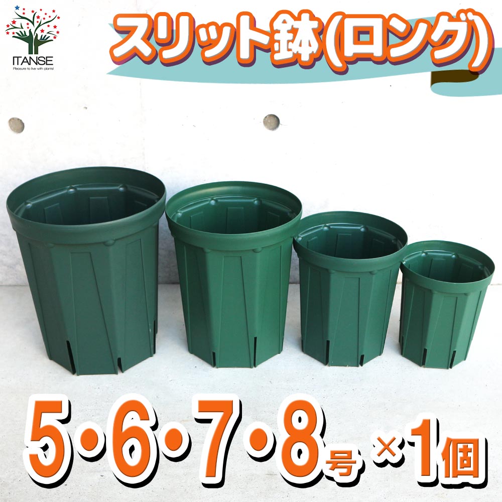 スリット鉢 ロングサイズ 5号＆6号＆7号＆8号 各1個セット【資材／お買い得4個セット】