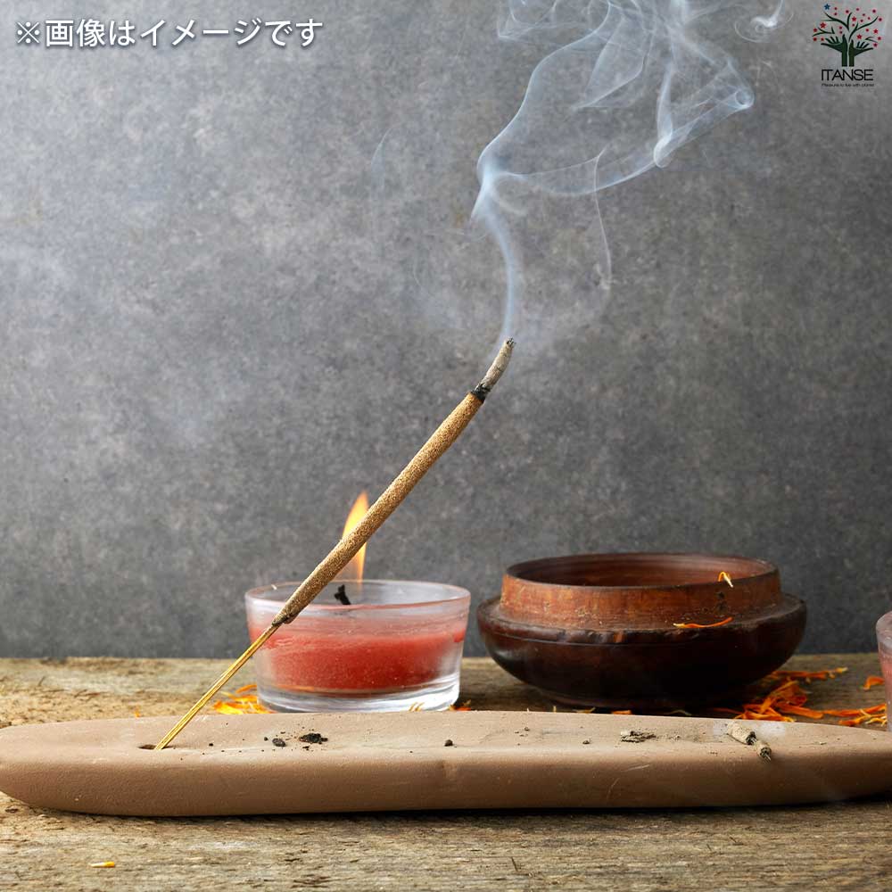 お香 ナグチャンパ  【香り系 便利・園芸グッズ】