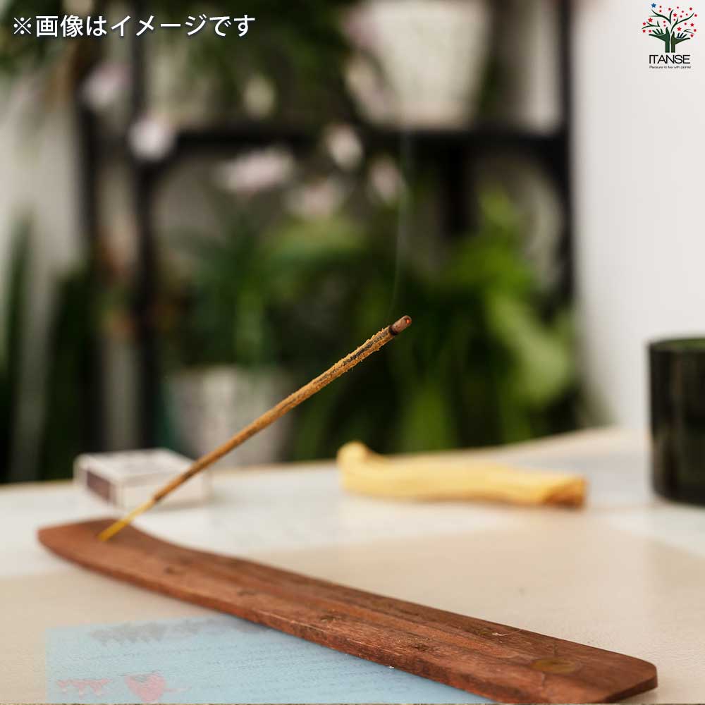 お香 ナグチャンパ  【香り系 便利・園芸グッズ】