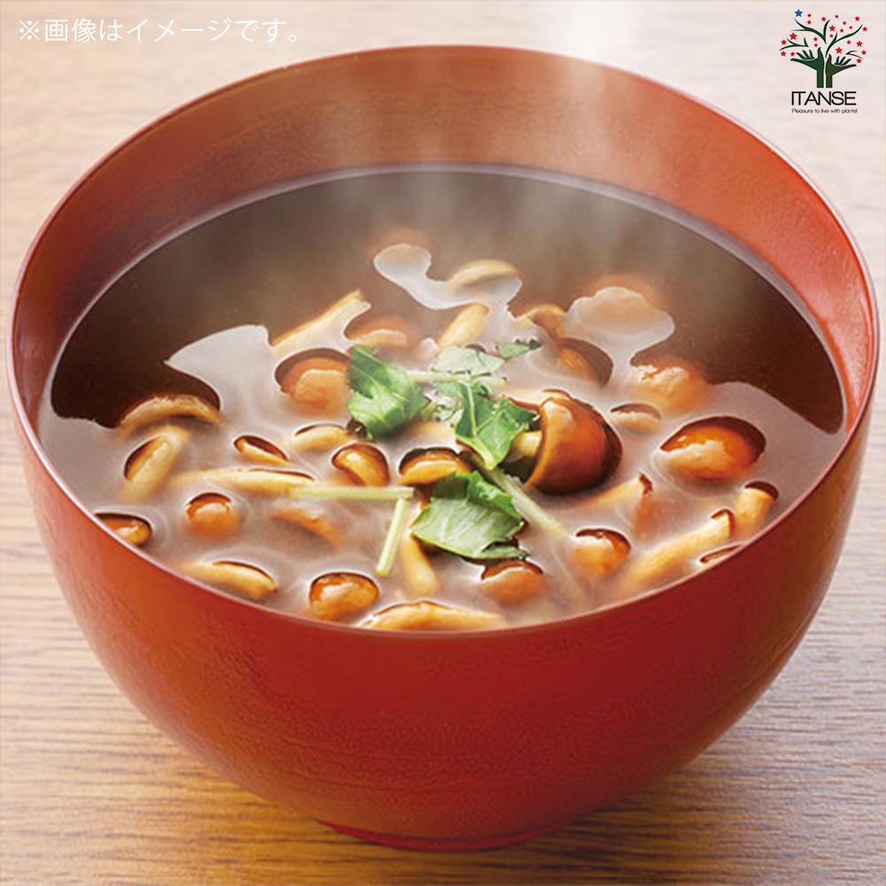 菌床きのこ栽培セット”でるまっしゅ” なめこ【 【セット内容:なめこ菌床ブロック、日向土、説明書、ビニール袋】