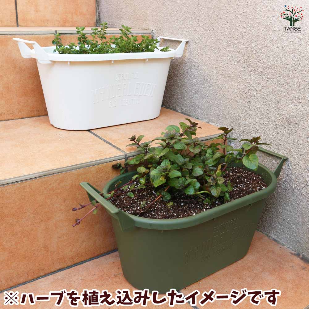 持ち運び簡単！かわいい取っ手付きプランター【資材】