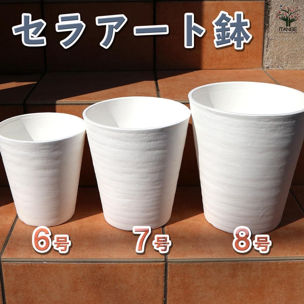 セラアート 長鉢 白 プラスチック鉢 表面が陶器風の加工 【資材】