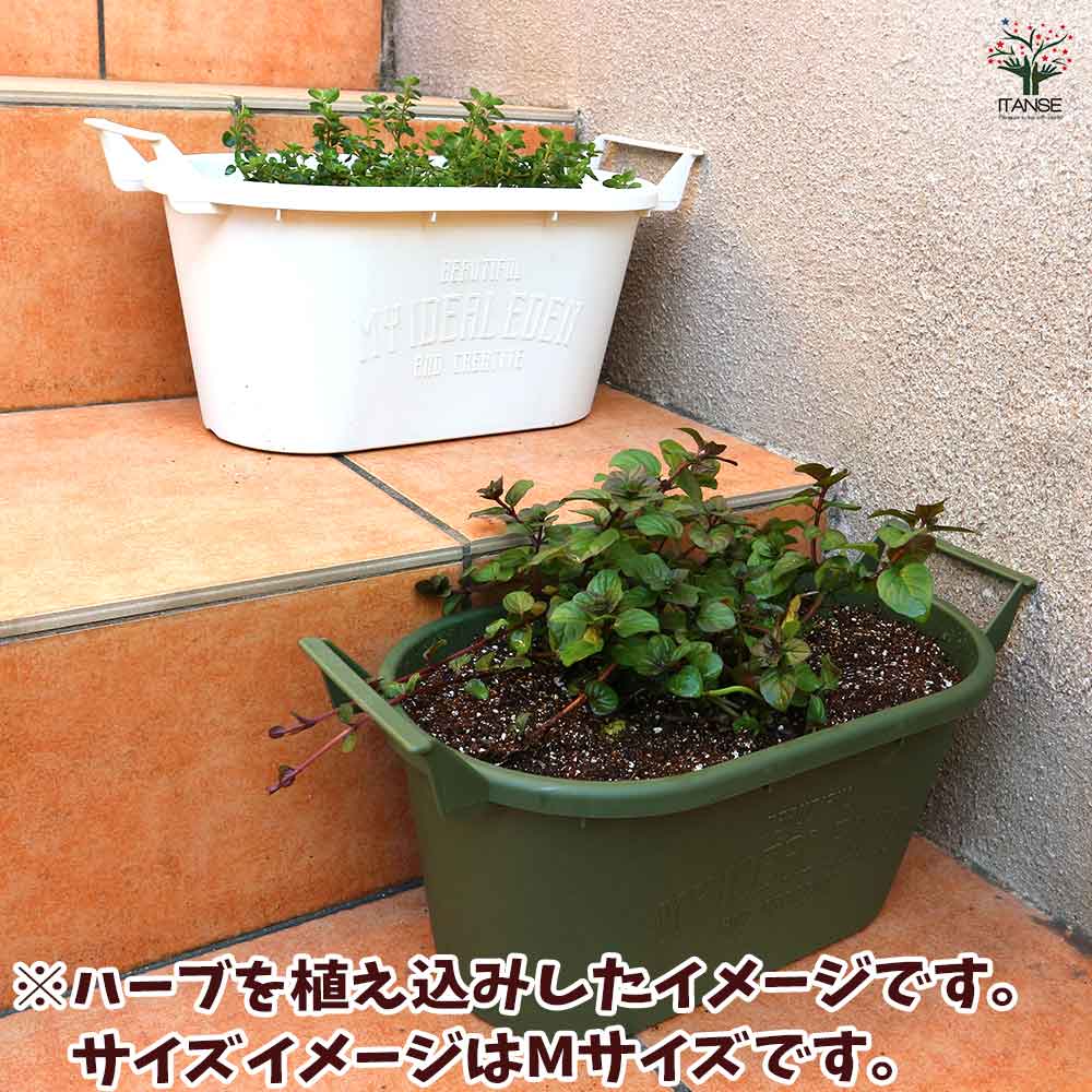 Mサイズ 3セット植木鉢 園芸資材セット 【資材 取っ手付きプランター ブラックMサイズ3個＋