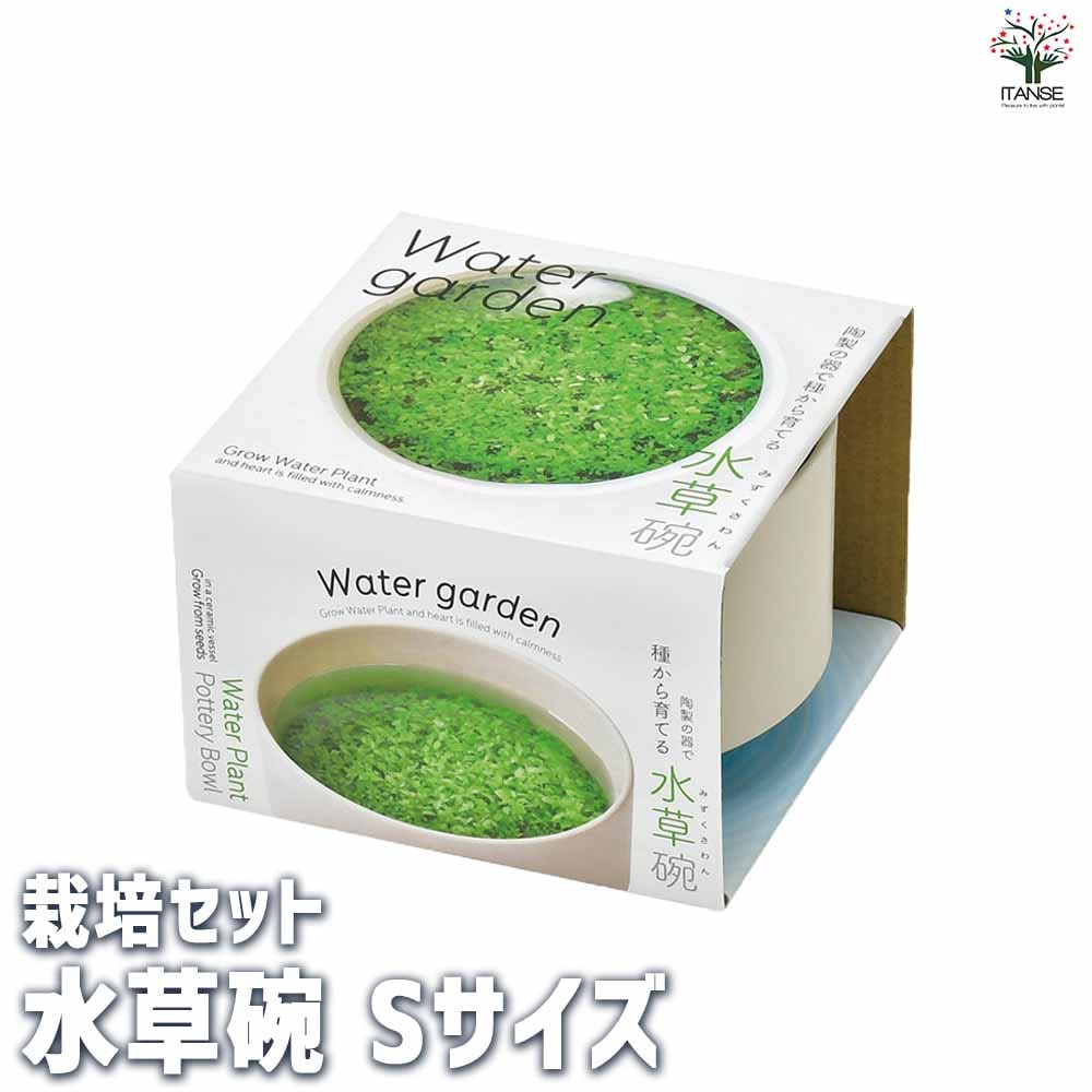 栽培セット 水草碗 【Sサイズ／1個売り】｜ 【植物の