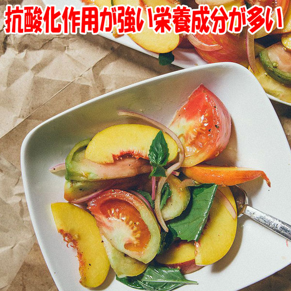 スイートバジルの大苗【野菜苗18cm硬質ポット大苗1個／肥料付