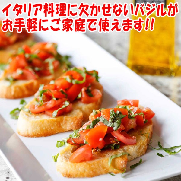 スイートバジルの大苗【野菜苗18cm硬質ポット大苗1個／肥料付