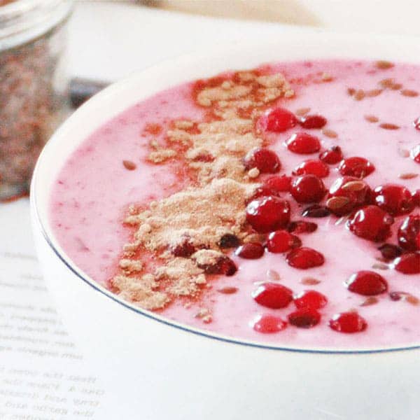 リンゴンベリー9cmポット苗(挿し木苗)2個～【果樹 二年生挿し木苗】