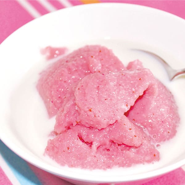 リンゴンベリー9cmポット苗(挿し木苗)2個～【果樹 二年生挿し木苗】