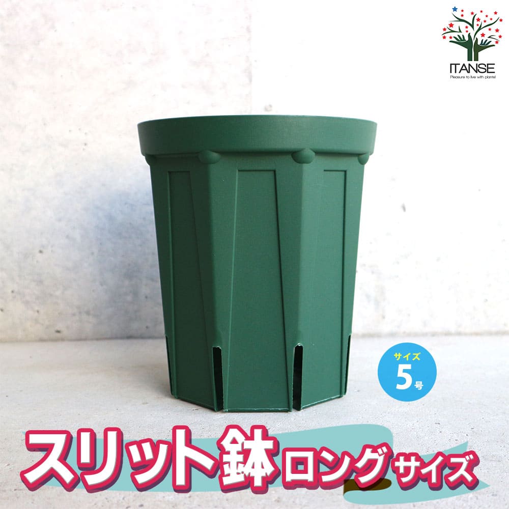 スリット鉢【資材 5号ロングサイズ】｜ 【植物のITANSE】全品