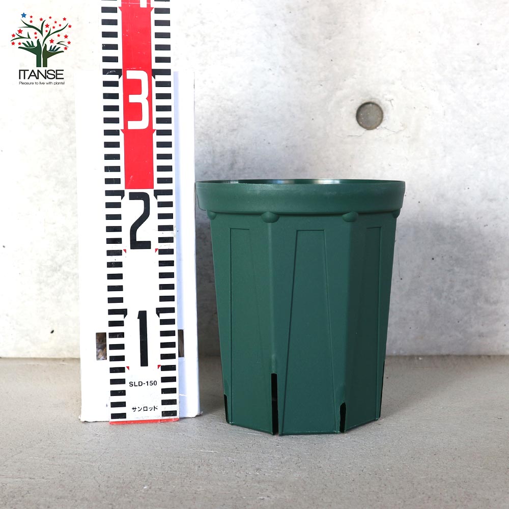 スリット鉢【資材 5号ロングサイズ】