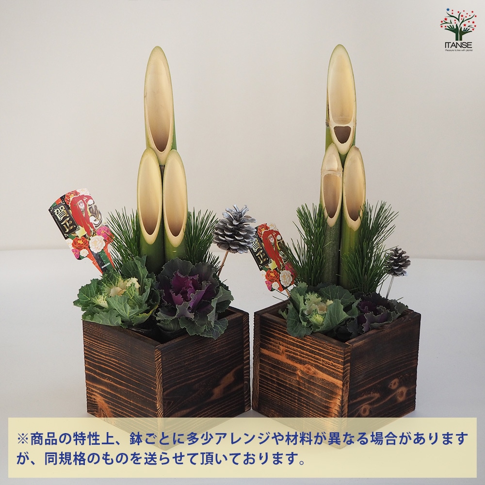 門松(かどまつ) ミニ門松 焼き杉鉢 【正月飾り 6号鉢】｜ 【植物の