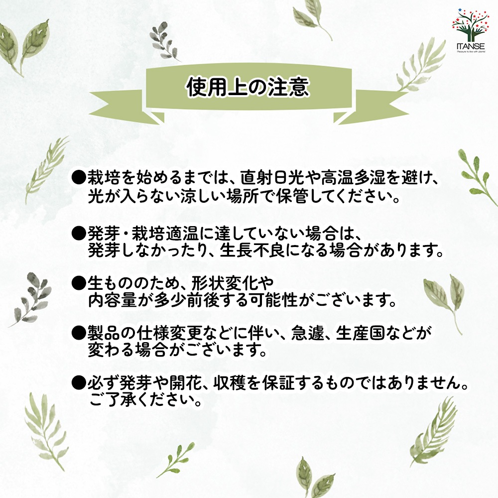送料無料 八重咲チューリップ ペップトーク 花球根 お買い得4球セット 球根 花の球根 ちゅーりっぷ チューリップ 寄せ植え ガーデニング 鑑賞 栽培 庭 期間限定60 Off 送料無料 八重咲チューリップ ペップトーク 花球根 お買い得4球セット 球根 花の球根 ちゅーりっぷ チューリップ 寄せ植え ガーデニング 鑑賞 栽培 庭 期間限定60 Off