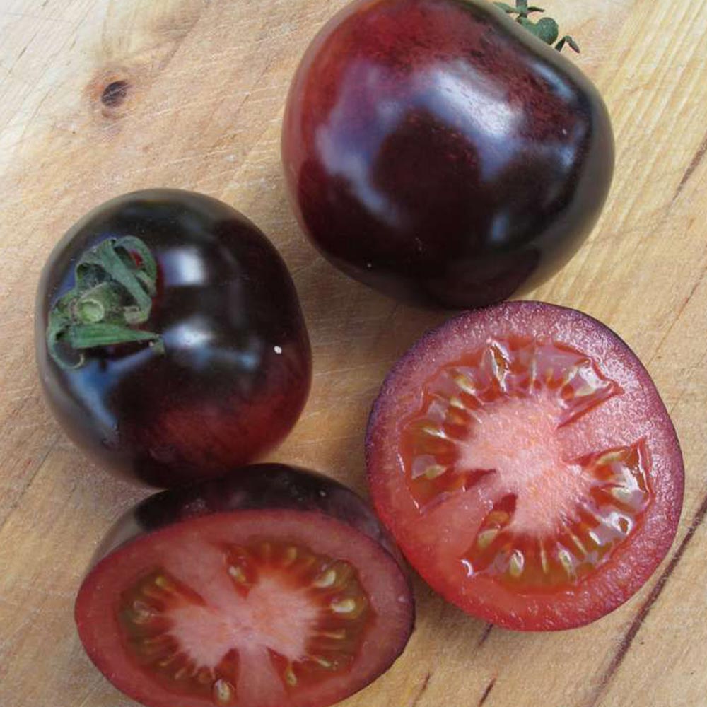 ミニトマト パープルローズ苗2個～【野菜 自根苗 9cmポット】