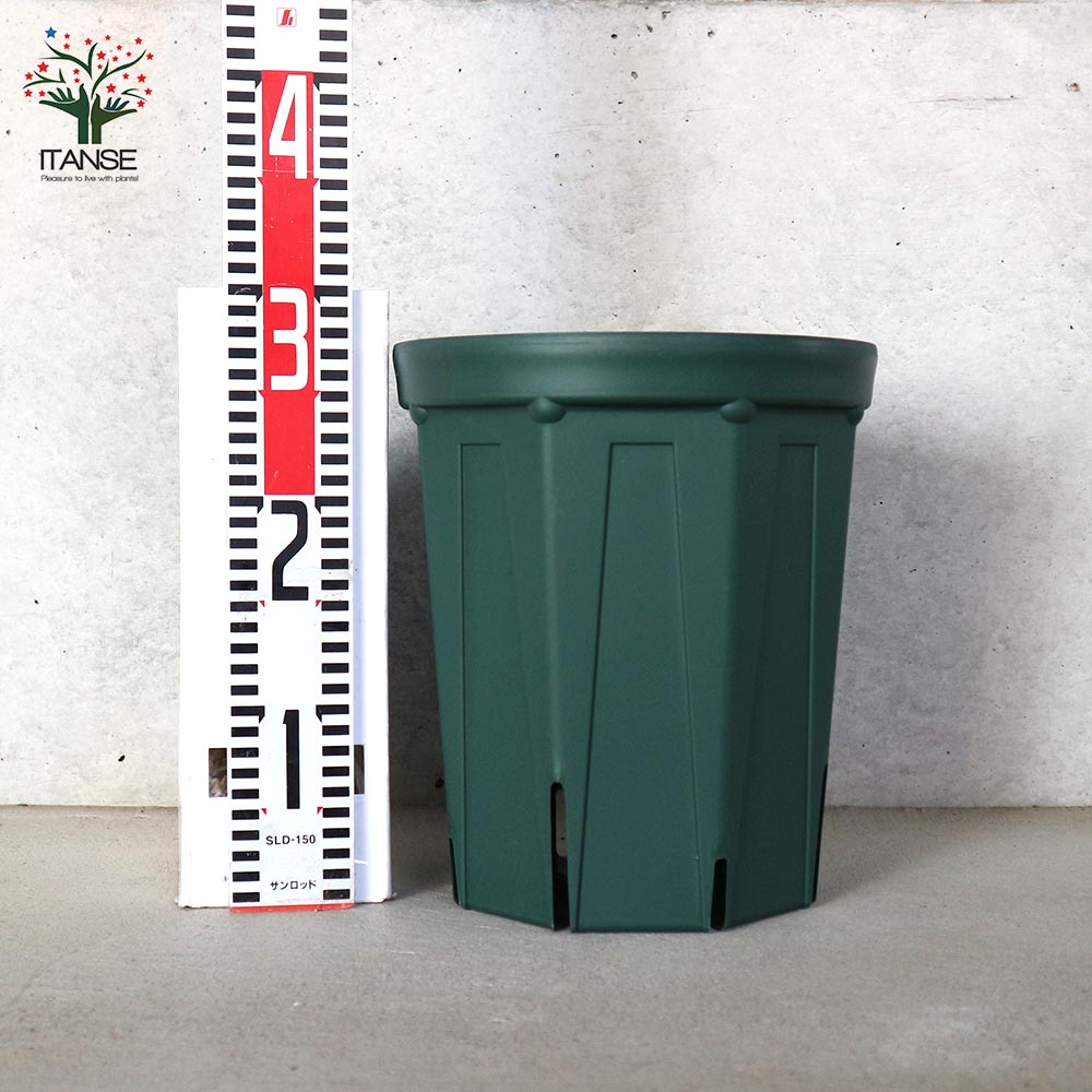 スリット鉢【資材 8号ロングサイズ】