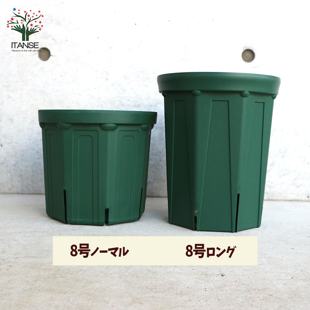 スリット鉢【資材 8号ロングサイズ】