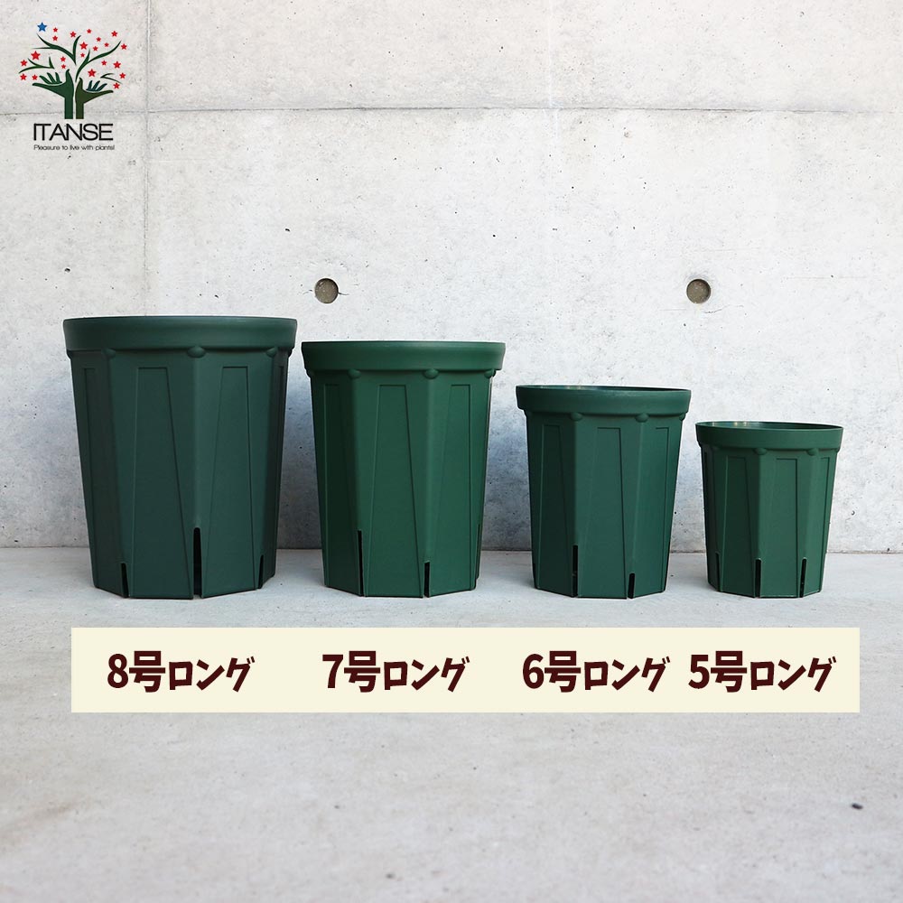 スリット鉢【資材 8号ロングサイズ】｜ 【植物のITANSE】全品