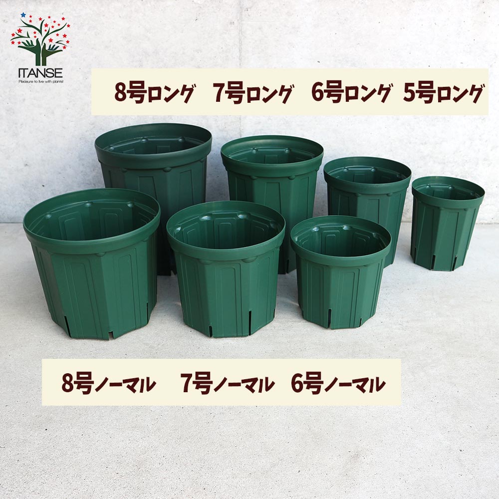 スリット鉢【資材 8号ロングサイズ】