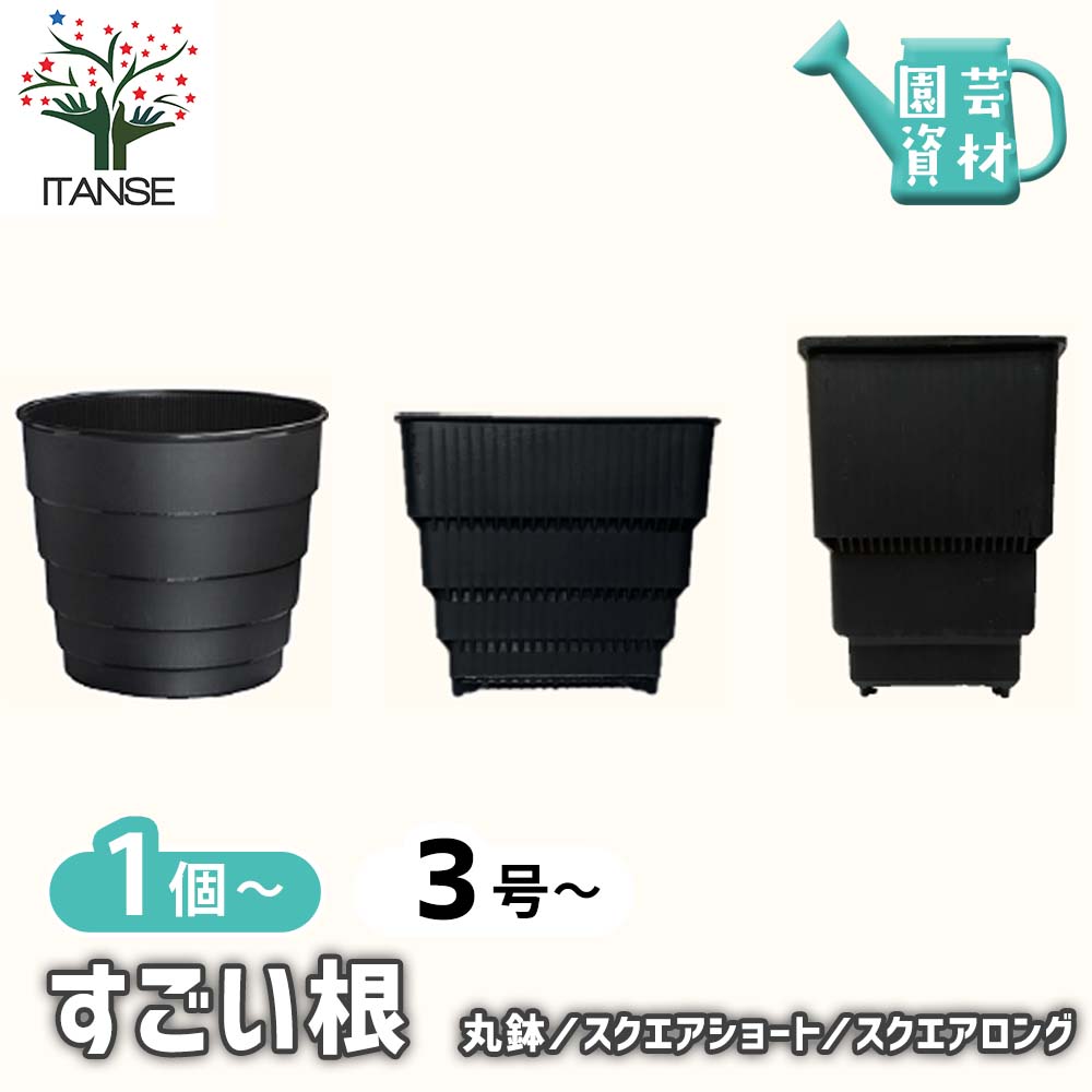 すごい根 【資材 植木鉢 プラスチック鉢 】｜ 【植物のITANSE