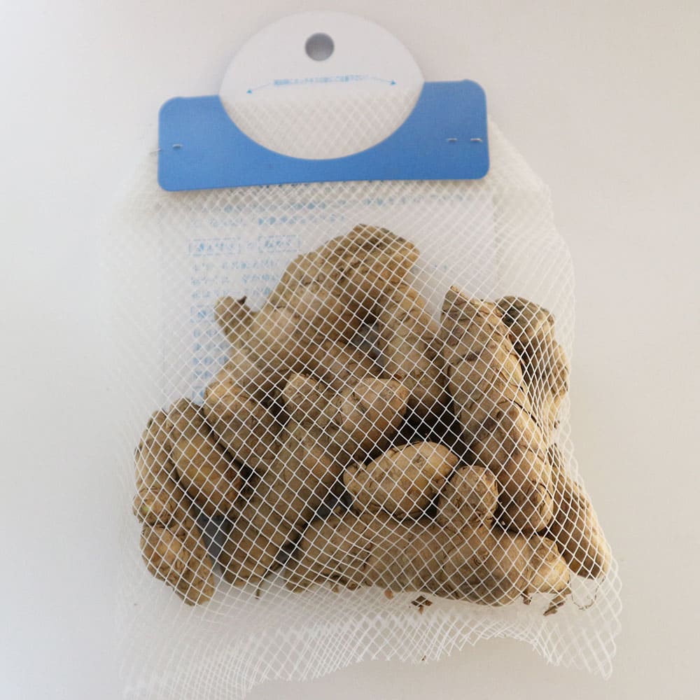 健康野菜球根 春ウコン【ネット詰め野菜球根/充填時200g】