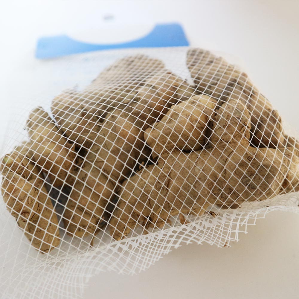 健康野菜球根 春ウコン【ネット詰め野菜球根/充填時200g】