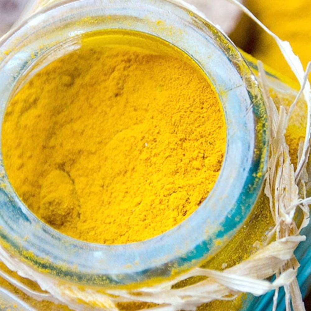 健康野菜球根 春ウコン【ネット詰め野菜球根/充填時200g】