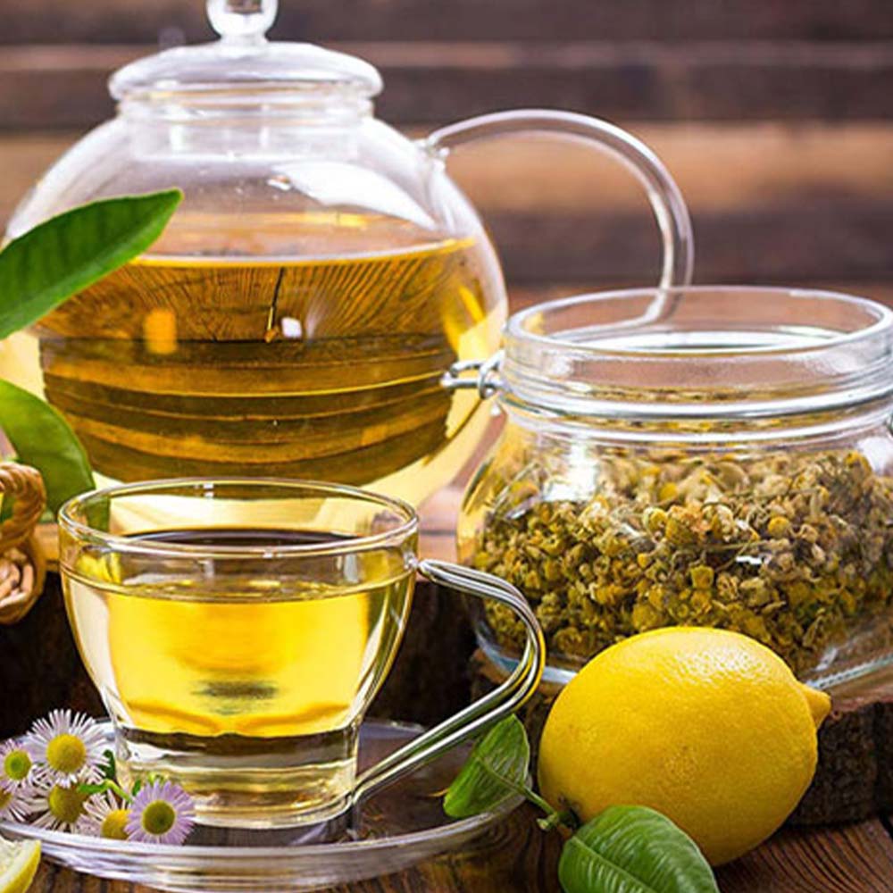 ジャーマンカモミール【ハーブ苗9cmポット／3個セット】