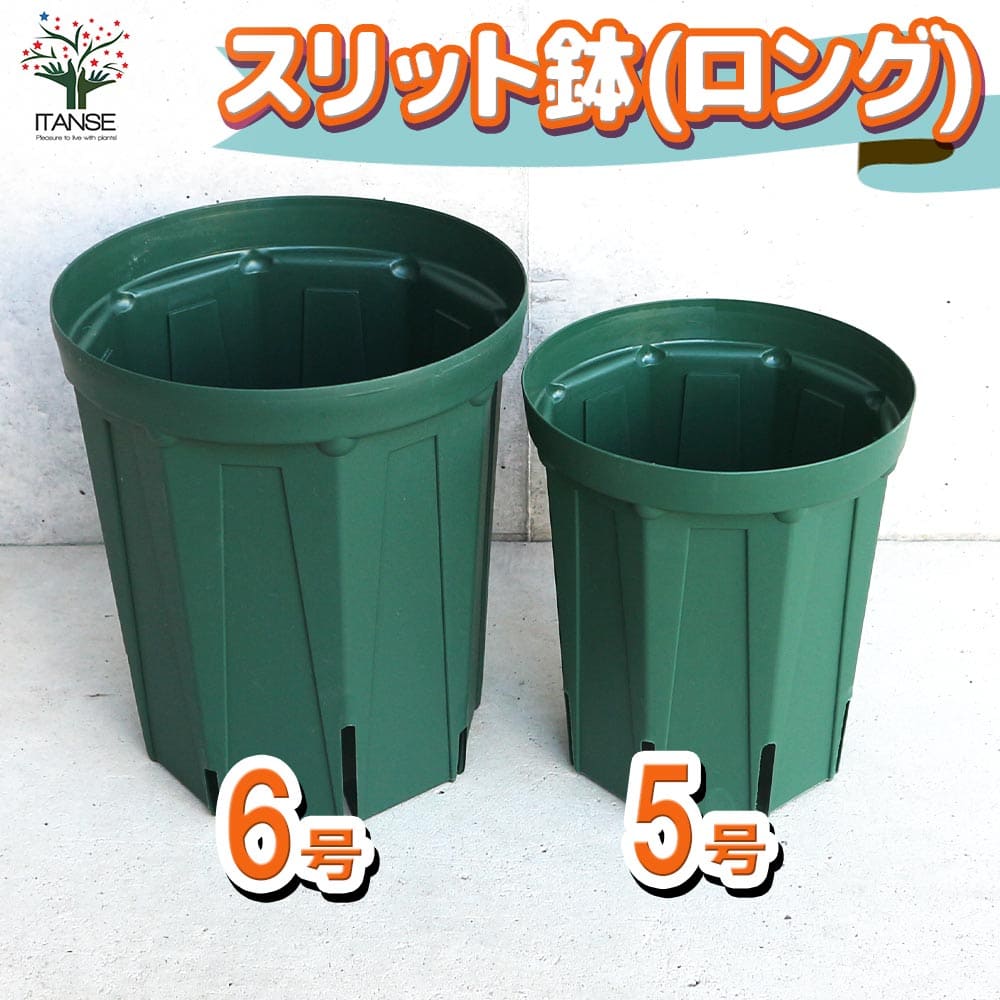 スリット鉢 ロングサイズ 5号＆6号 各5個セット【資材