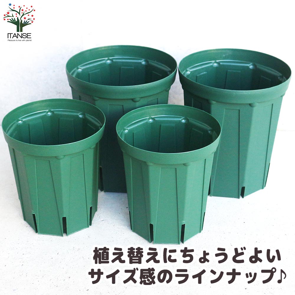 スリット鉢 ロングサイズ 5号＆6号 各5個セット【資材】