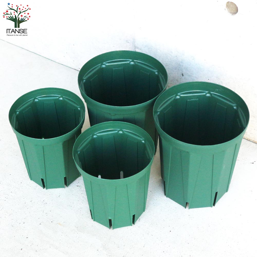 スリット鉢 ロングサイズ 5号＆6号 各5個セット【資材