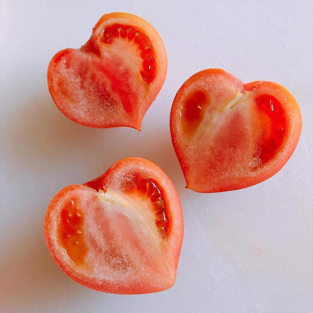 テーブルトマト レッド ミニトマト大苗【18cm硬質ポット自根苗/赤実1個+スティック肥料2本】