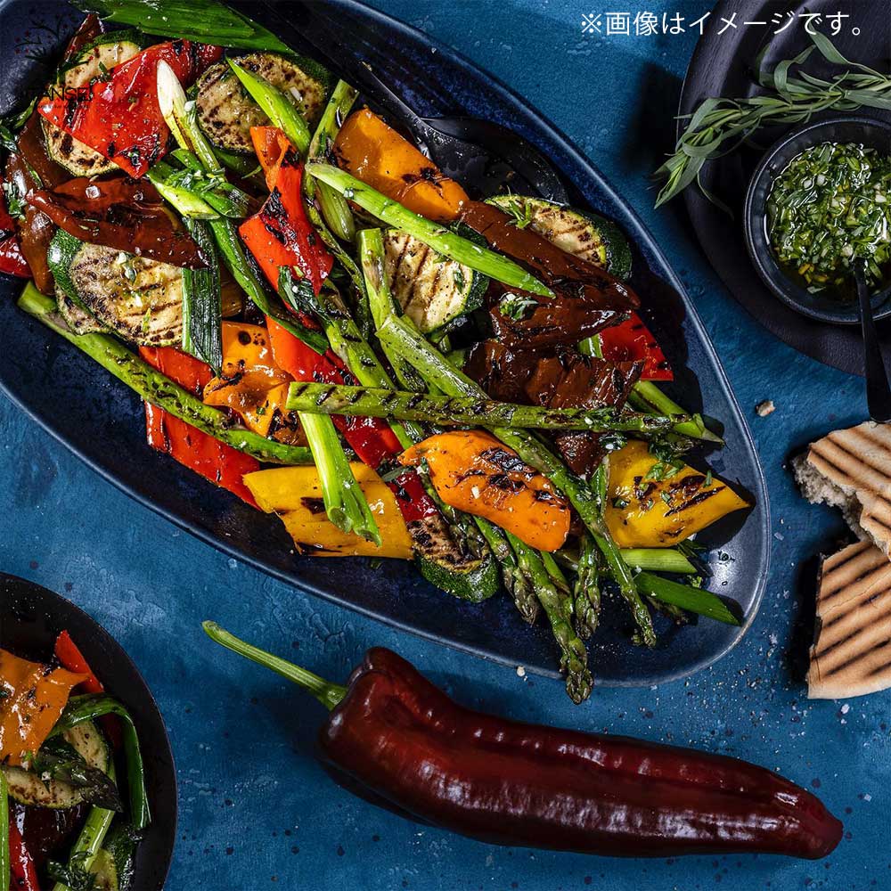 フルーティーピーマン・スイートパレルモ”チョコ”の苗2個～【野菜苗 10.5cmポット自根苗】