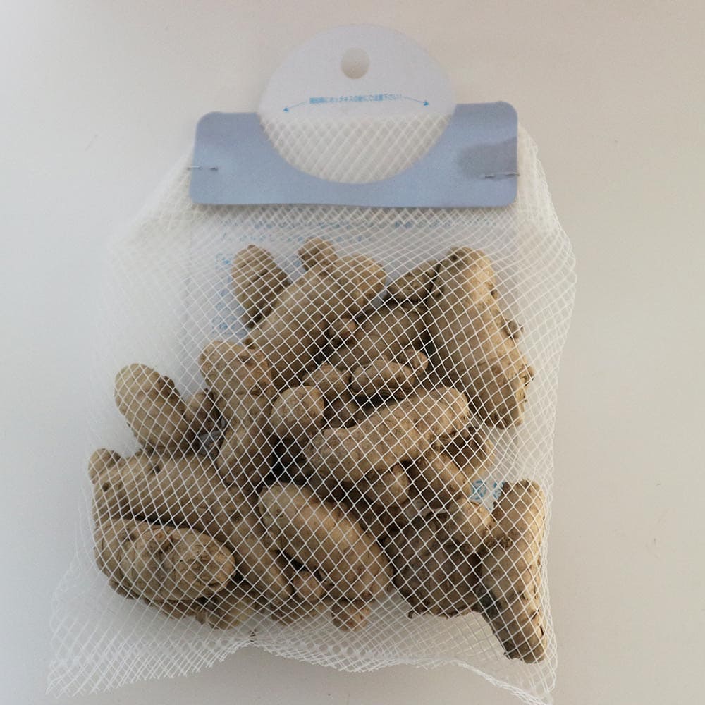 健康野菜球根 紫ウコン【ネット詰め野菜球根/充填時200g】