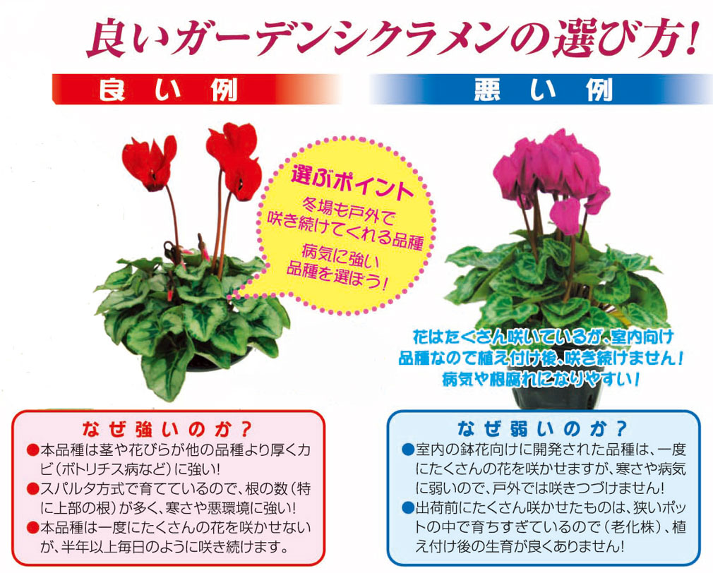 Itanse良品セレクト通販 Itanse良品セレクト通販