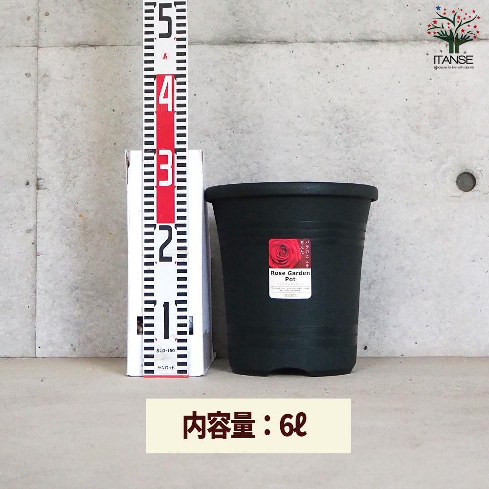 ローズガーデンポット 色：ダークグリーン【資材 24型】