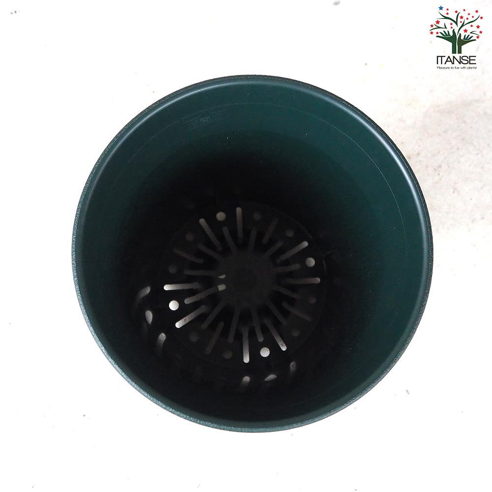 ITANSE ローズガーデンポット 色：ダークグリーン 36型 お買い得3個セット ポット プランター 菜園鉢 家庭菜園 ガーデニング 送料無料 イタンセ公式 ローズガーデンポット 色：ダークグリーン資材 36型｜ 植物の