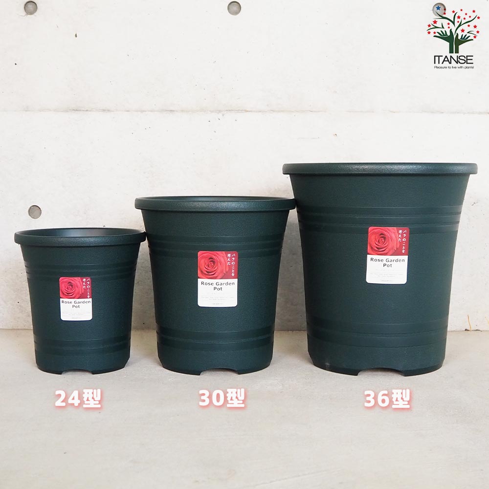 ローズガーデンポット 色：ダークグリーン【資材 24型】