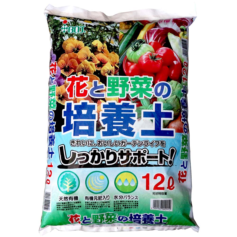 人気のすずなりいちご栽培セット【野菜苗 9cmポット＆資材セット】