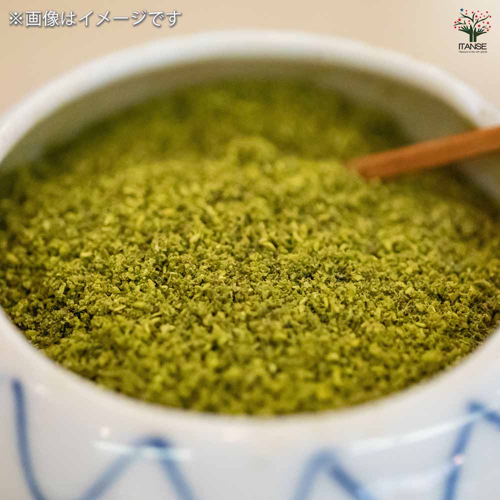 山椒の苗木 ウルトラ山椒シリーズ 【果樹の苗木 12cmポット】｜ 【植物