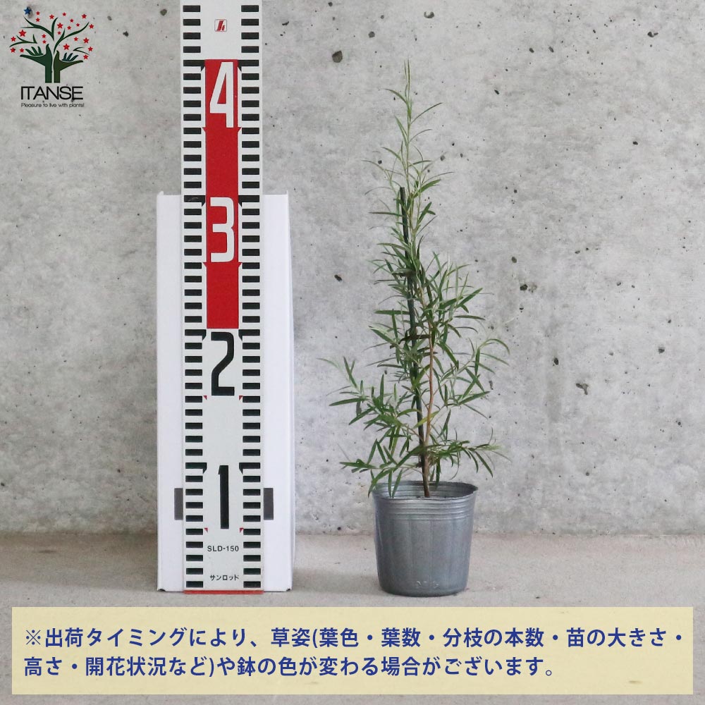 Itanse良品セレクト通販 Itanse良品セレクト通販