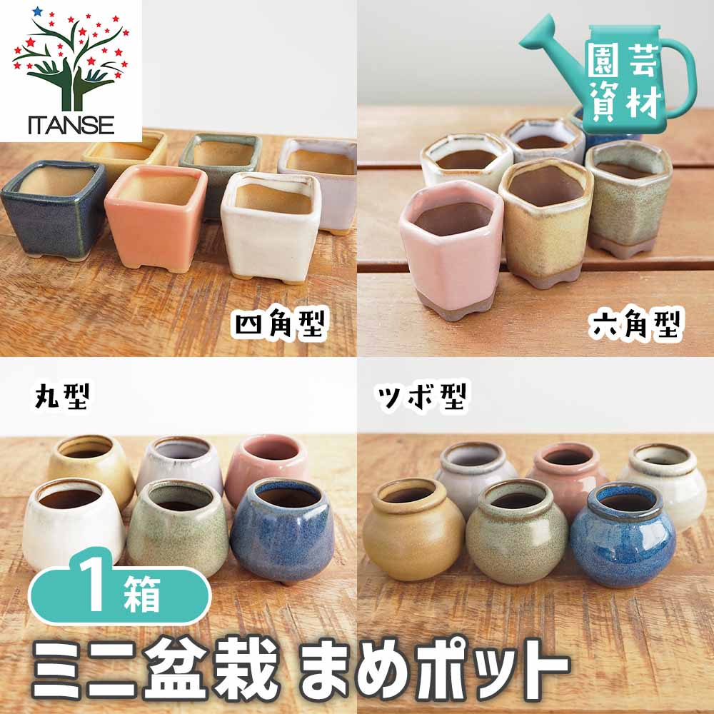 陶器鉢 ミニ盆栽まめポット【選べる形状】｜ 【植物のITANSE