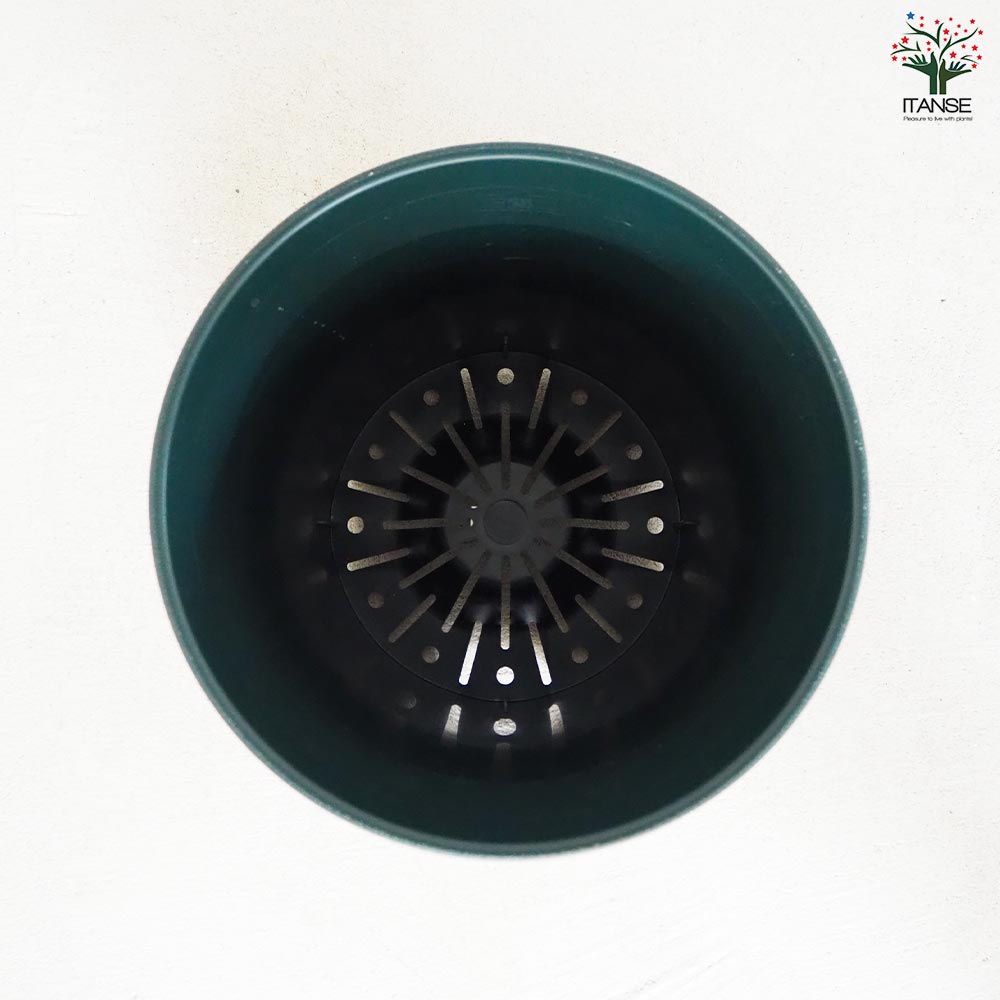 ローズガーデンポット 色：ダークグリーン【資材 30型】