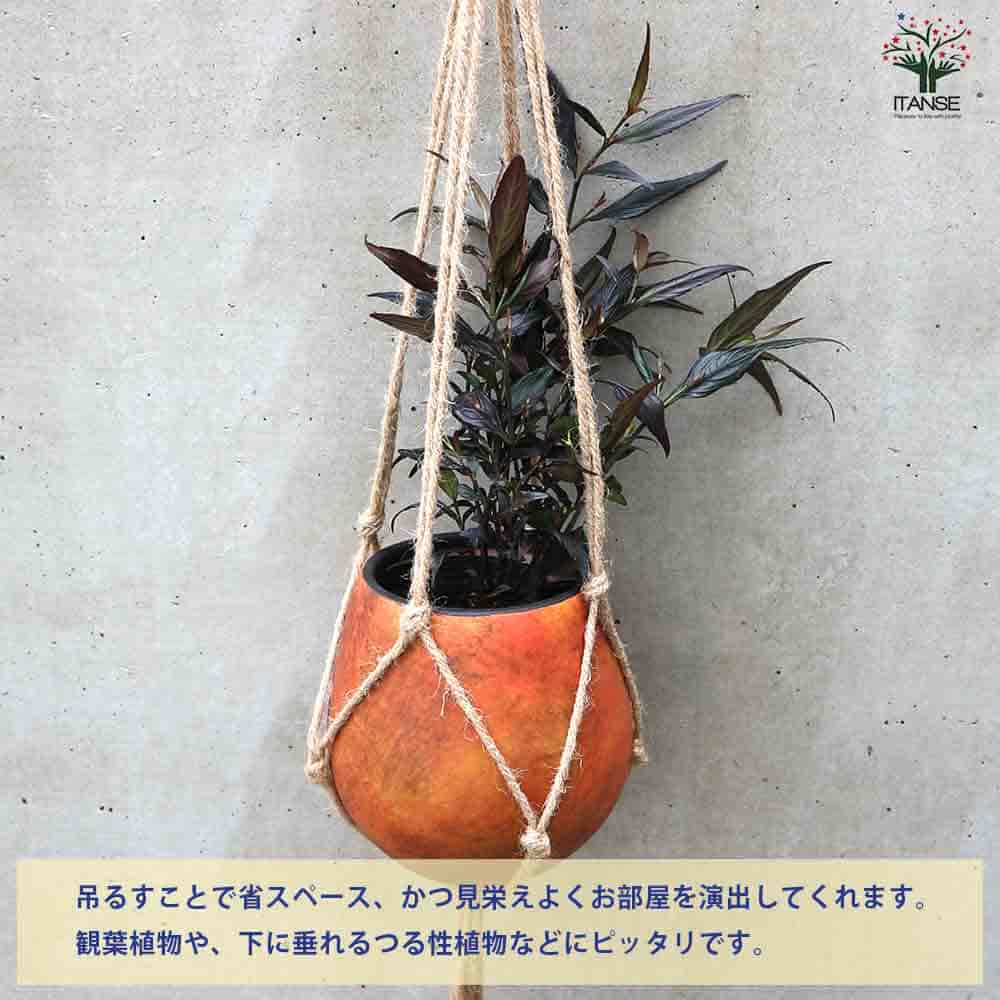 麻縄マクラメ編み ナチュラルカラー105cm 【ハンギング資材