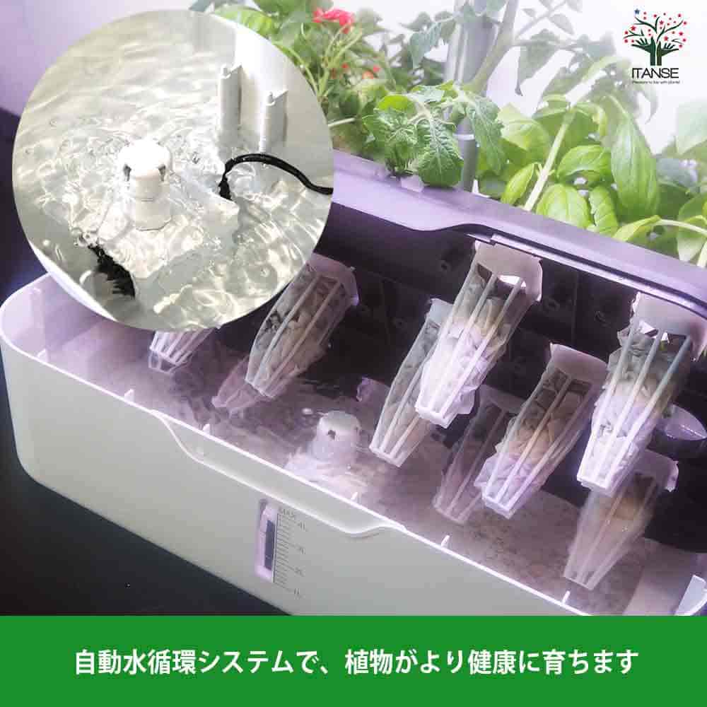 水耕栽培スマートプランターライト付 種子Bセット 【栽培キット