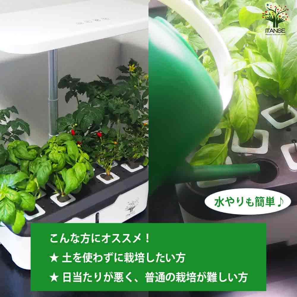 水耕栽培スマートプランターライト付 種子Bセット 【栽培キット