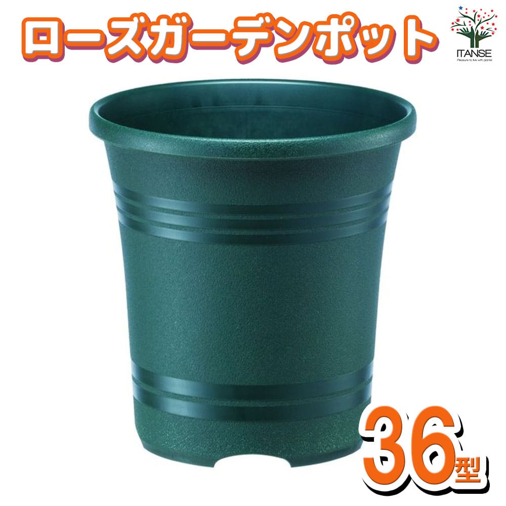ローズガーデンポット 色：ダークグリーン【資材 36型】｜ 【植物の