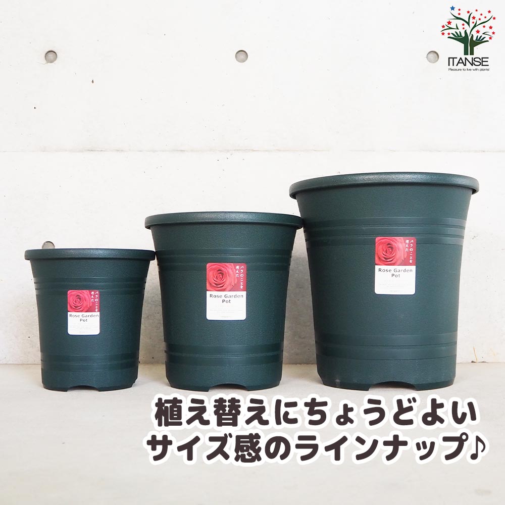 エッグカップ、セラミック d20 / 「ローズガーデン」 エッグカップ、セラミック d20 / 「ローズガーデン」