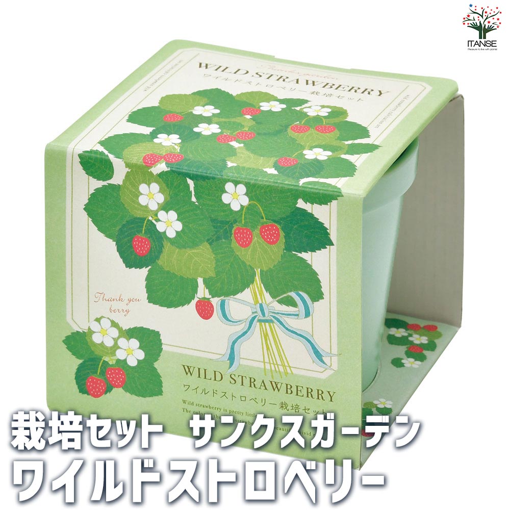 専用＊ストロベリー　春のフェイクスワッグ 専用＊ストロベリー 春のフェイクスワッグ