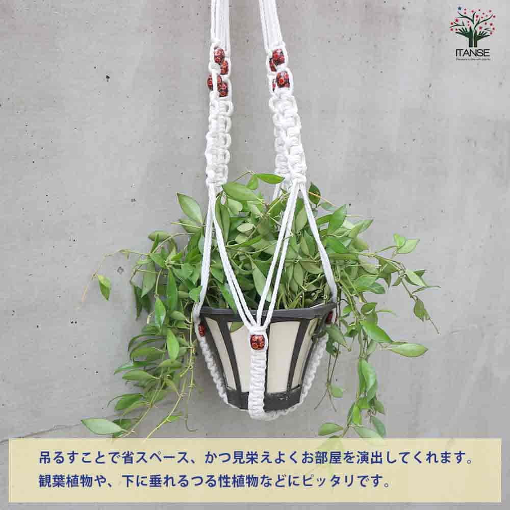 麻縄マクラメ編み 4番 玉付ハンギングプランター 【ハンギング資材 】