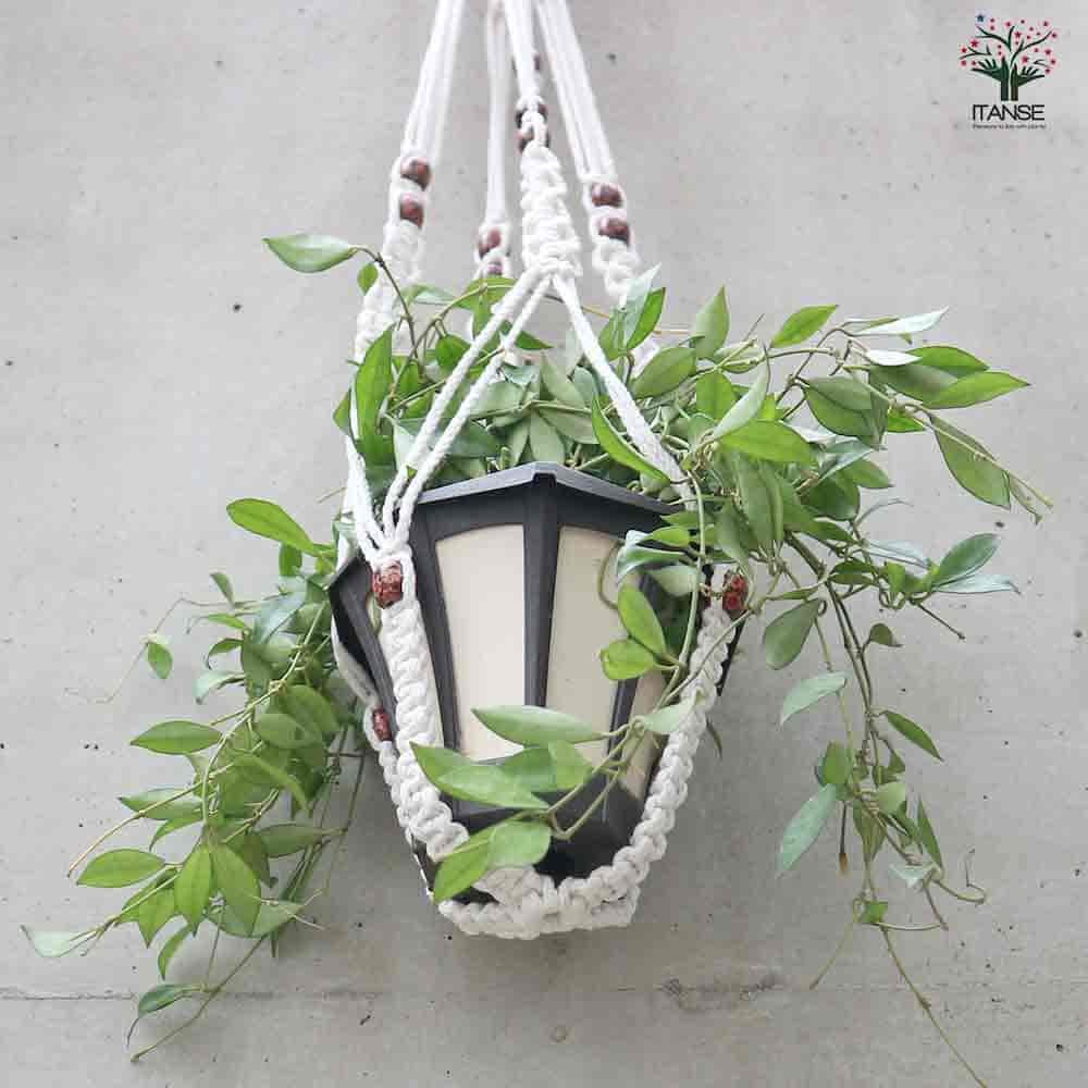 麻縄マクラメ編み 4番 玉付ハンギングプランター 【ハンギング資材 】