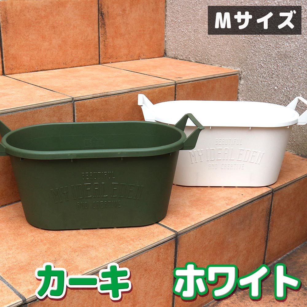 人気のすずなりいちご栽培キット【野菜苗 9cmポット&資材セット】